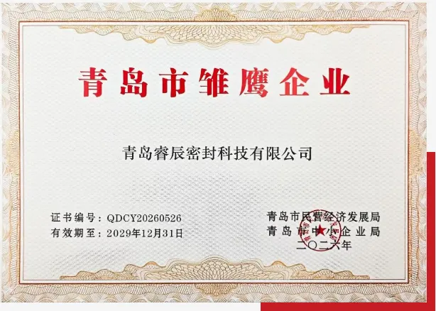 Qingdao Ruichen Sealing Technology Co., Ltd. به عنوان 