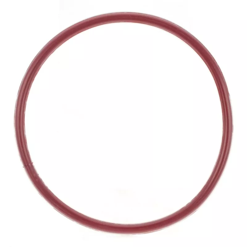 O-Ring محصور شده با FEP/PFA