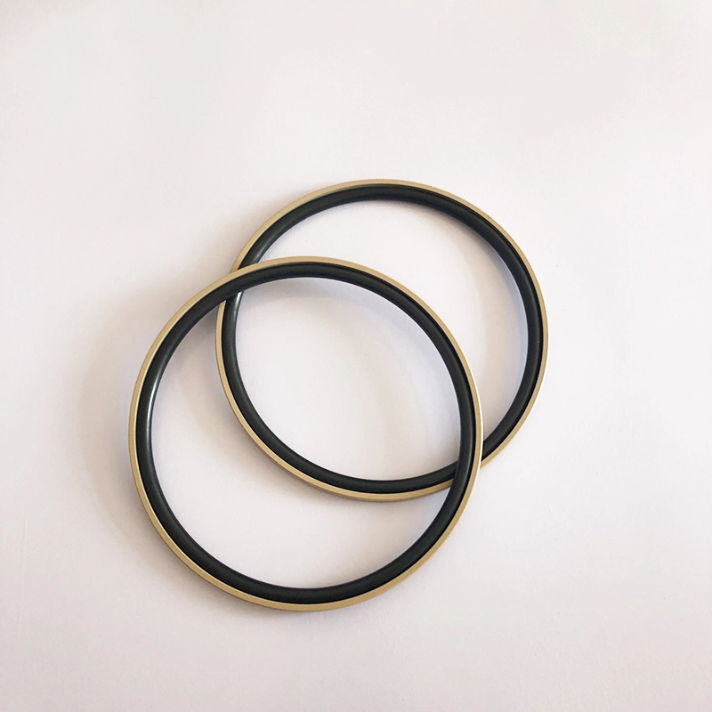 Hydraulic Seals For Piston Holes Hydraulic Seals For Piston Holes