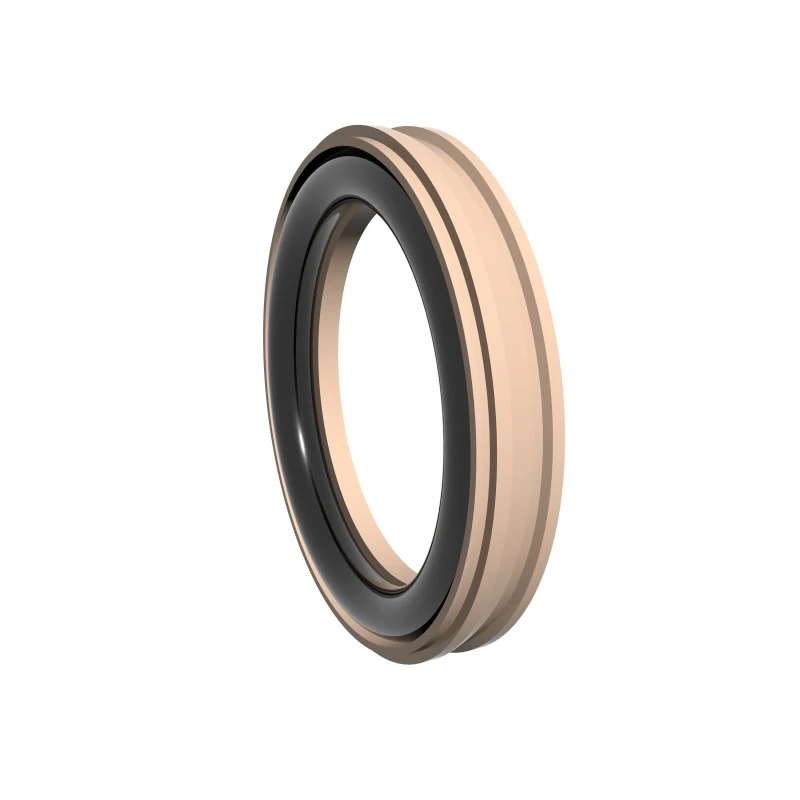 High Pressure Rotary Seals